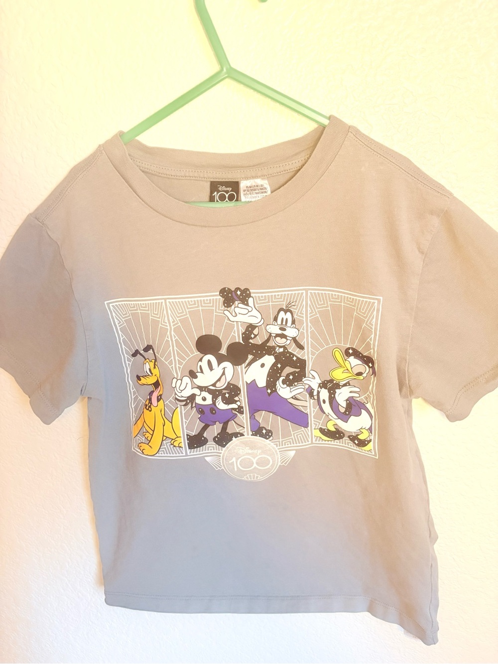Disney 100 Grey Graphic Tee with Purple & Yellow Accents